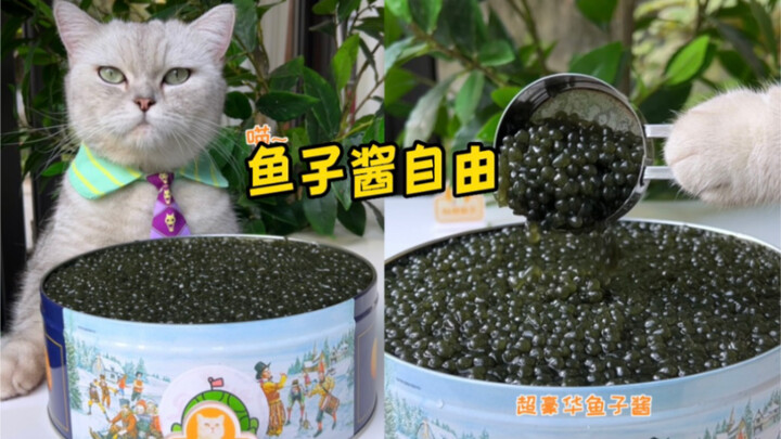Elvis: How to Achieve Caviar Freedom for Just 5 Yuan!