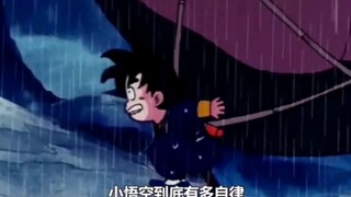 论小悟空的自律程度到底有多大