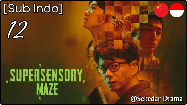 [Sub Indo] Supersensory Maze – Eps. 12 (2025)