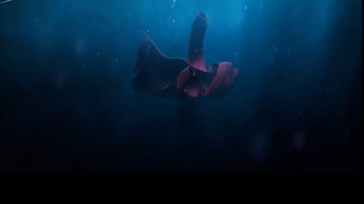 Deep Sea (深海) 2023 To Watch Movie With English Subtitle : Link In Description