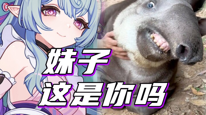 [ Genshin Impact ] Con yêu, nguyên mẫu của con sao lại trông thế này!!!