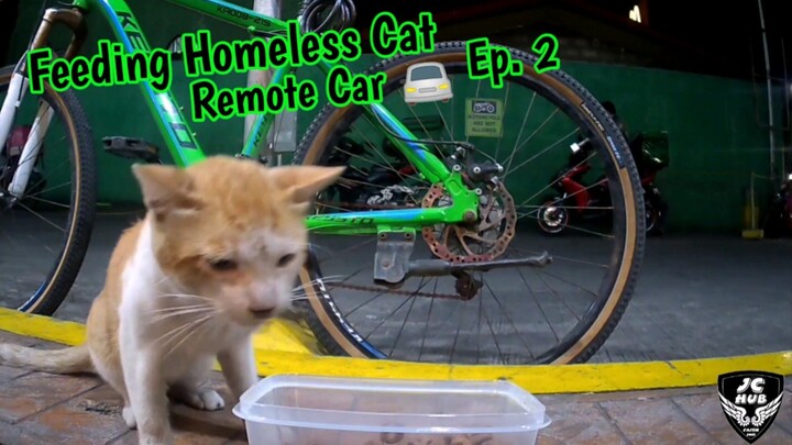 Feeding Ginger Homeless Cat with Remote Car! 🚘 #EP2 #straycat #straycatvideos #staycats #cats