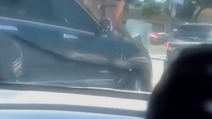 This steering wheel is really a steering wheel.