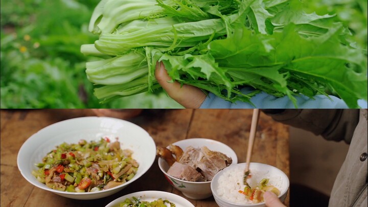 Hidup di pegunungan bersama ibu | Menikmati aktivitas memetik sayur secara mendalam, di musim semi h