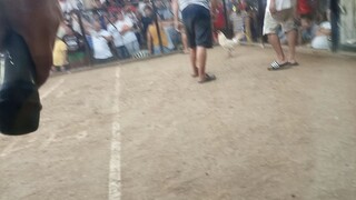 art Lopez wh galing naunahan na DNA tumigil sa pagpalo galing bataan yan mez  red eye farm bataan