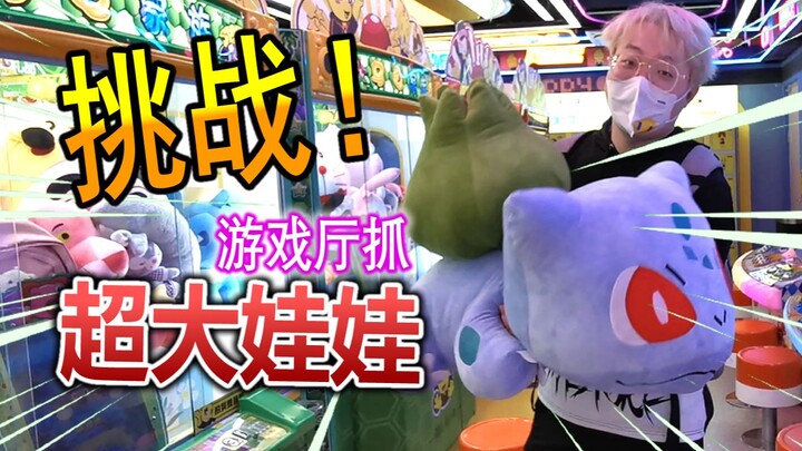 Challenging the turtle family at domestic arcades—how dare they hang such a huge doll!