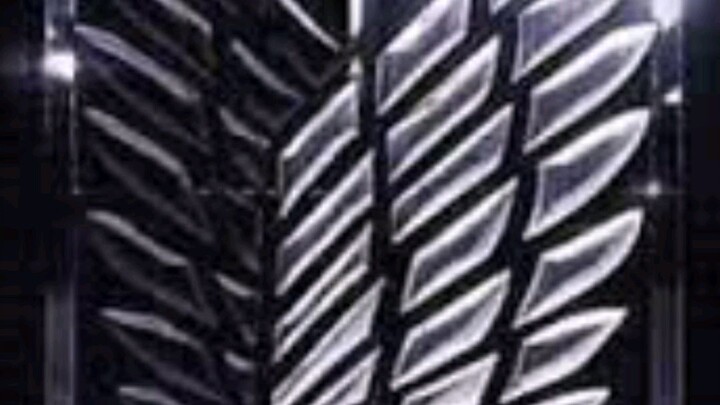 DUO_ACKERMAN___soamazing😤😤