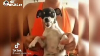 Cũng Chỉ Vì Miếng Cơm | K 365