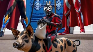 Belia rides a big black pig!