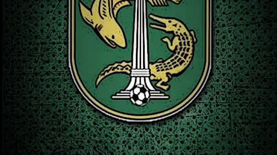 lu persebaya apa arema