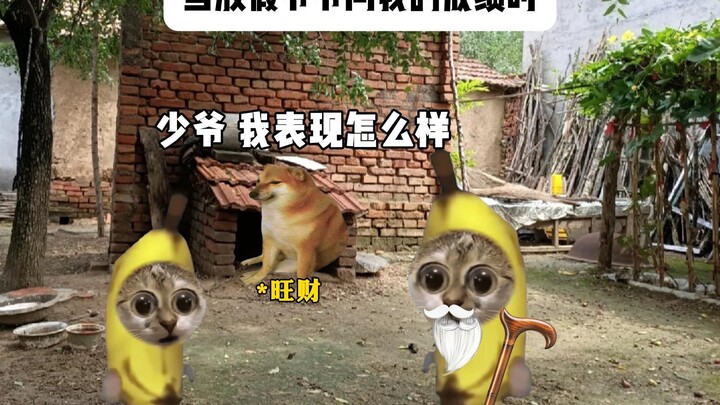 Khi nghỉ lễ, ông nội hỏi về thành tích học tập của tôi