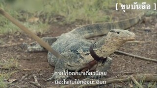 ขุนบันลือ : กับแก้มชั้นดี