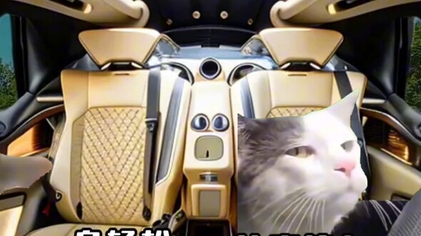 When I sit in the princess exclusive car seat (4)