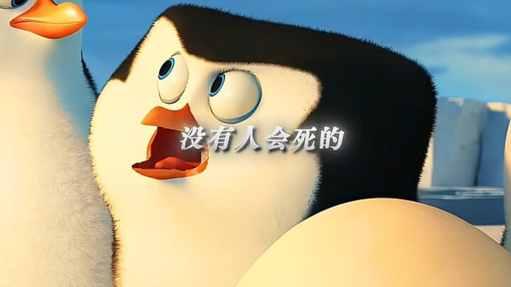 That year, Madagascar suddenly gave birth to four concept gods in one go.