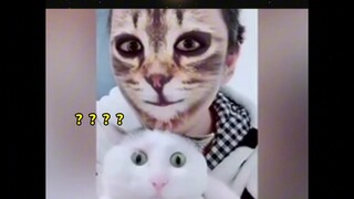Para kucing berkali-kali memastikan, tidak percaya!