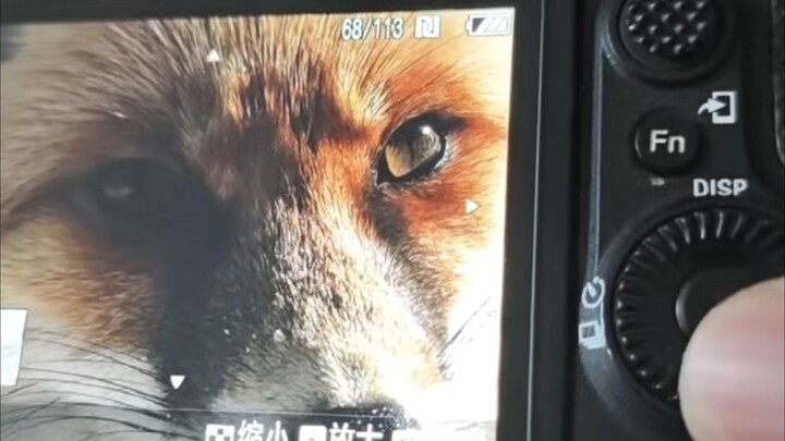 Chiếc máy ảnh của tôi cũng được mở mang tầm mắt rồi