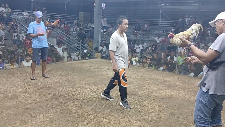 win  bulik charlie cruz dom  angat sarado