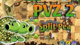 PVZ 2, Split Pea