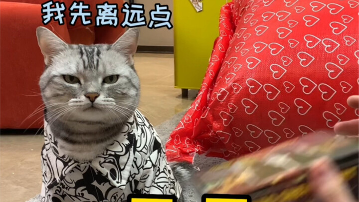 Who sent this package? Is it custom-made for my new hairstyle?!… So freaking awesome!