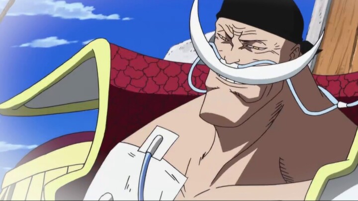 [Charm One Piece] Whitebeard - Edward Newgate! ｜The strongest man in the world