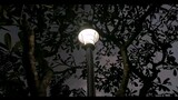 Ako naman muna - angela ken (Music video cover)