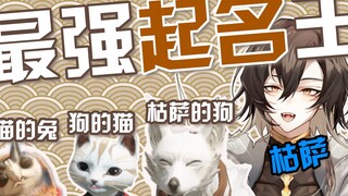 【💀骨片】怎么有人起名能怪成这个样子的！？【枯萨kusa】