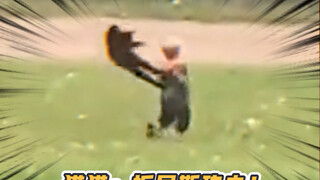 猫猫：力度刚刚好，懵逼不伤脑！