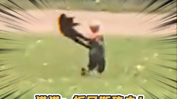 Mèo mèo: Lực vừa đủ, ngơ ngác mà không hại não!