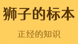没见过狮子的人做的狮子标本长什么样？
