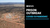 COVID-19 rampant in Alice Springs prison as almost half of inmates test positive | ABC News