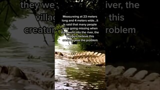 Misteriosa criatura flotando en un río