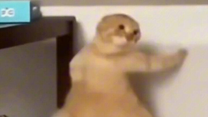 คุณปู่จอมยุทธ์วัยเก๋ากับพี่น้องร่วมสำนักประลองวิชากระบี่