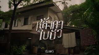 LIAR9