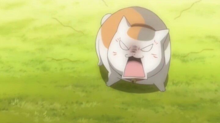 ช่วงเวลาที่มิสเตอร์แคททำลายการป้องกันของเขา