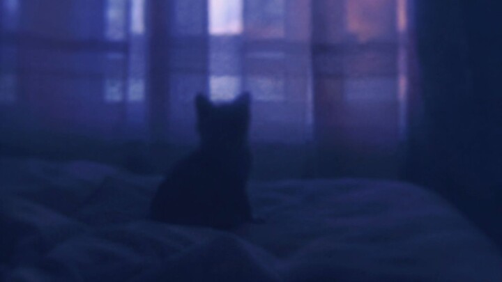 it's okay, go to sleep