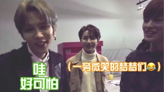刚加入NCT的成灿&将太郎：得力木前辈真的很可怕！！！梦崽们：只是微笑