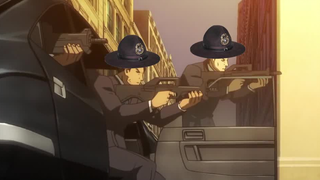 选 择 性 执 法