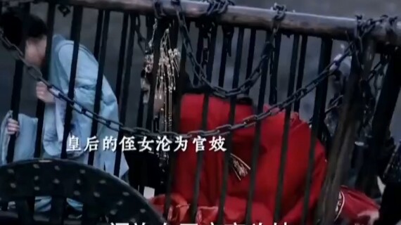 本以为自己要统领六宫，没想到却沦为男人的玩物