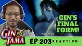 THE DREAM IS OVER!!! |Gintama Episoide 203 [REACTION] "Everyone Looks Pretty Grown up after Summer."