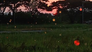 บรรยากาศออกไต๋หนู