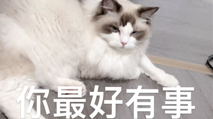 Tan làm rồi mà vẫn giẫm phải cái đuôi nhọn hoắt!