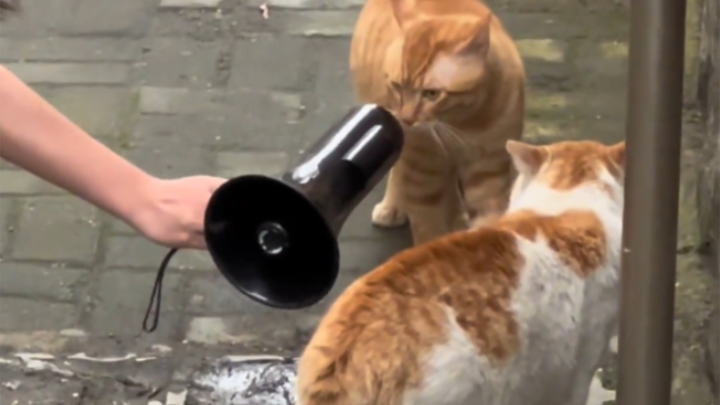 Don't fight anymore.