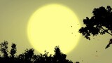 #4  Free stock video animated sunrise nature scene