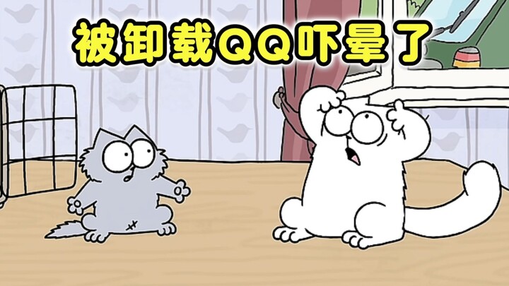 Con mèo ở Hà Nam sau khi gỡ bỏ QQ: