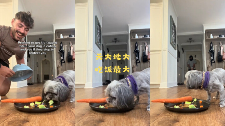 Trời rộng đất bao la, ăn uống là trên hết 🍽️