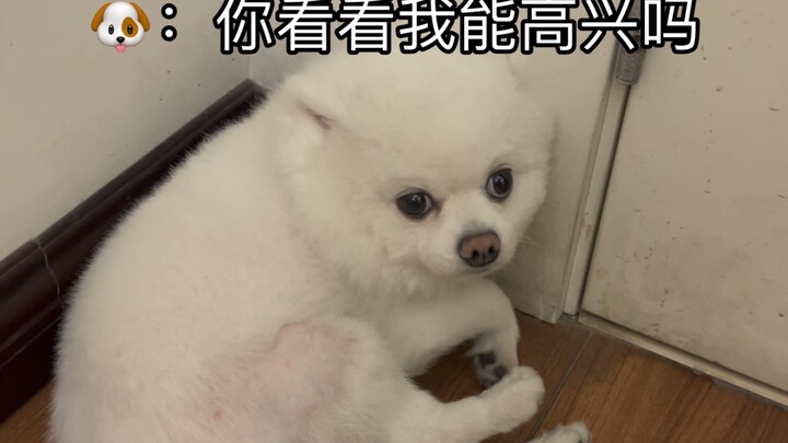 Chỗ mông không có lông của con bị muỗi đốt năm nốt, tâm trạng rất tệ không muốn nói chuyện.