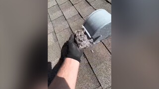 专业清理烘干机的小哥，记录他遇到的各种各样的状况...鼻炎患者看完已经强烈不适了！