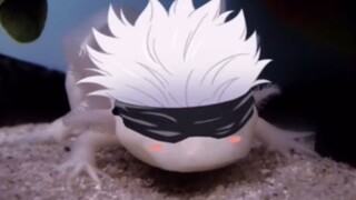 【咒术回战】“学 生 不 许 啵 老 师 嘴！”