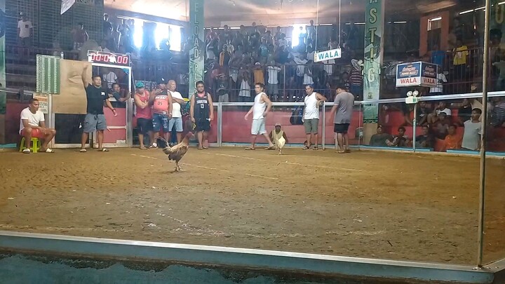 nakaChamba ulit c puti 🤣 3x winner na.