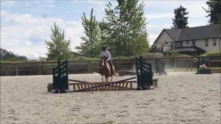 我的第一场比赛 My first competition